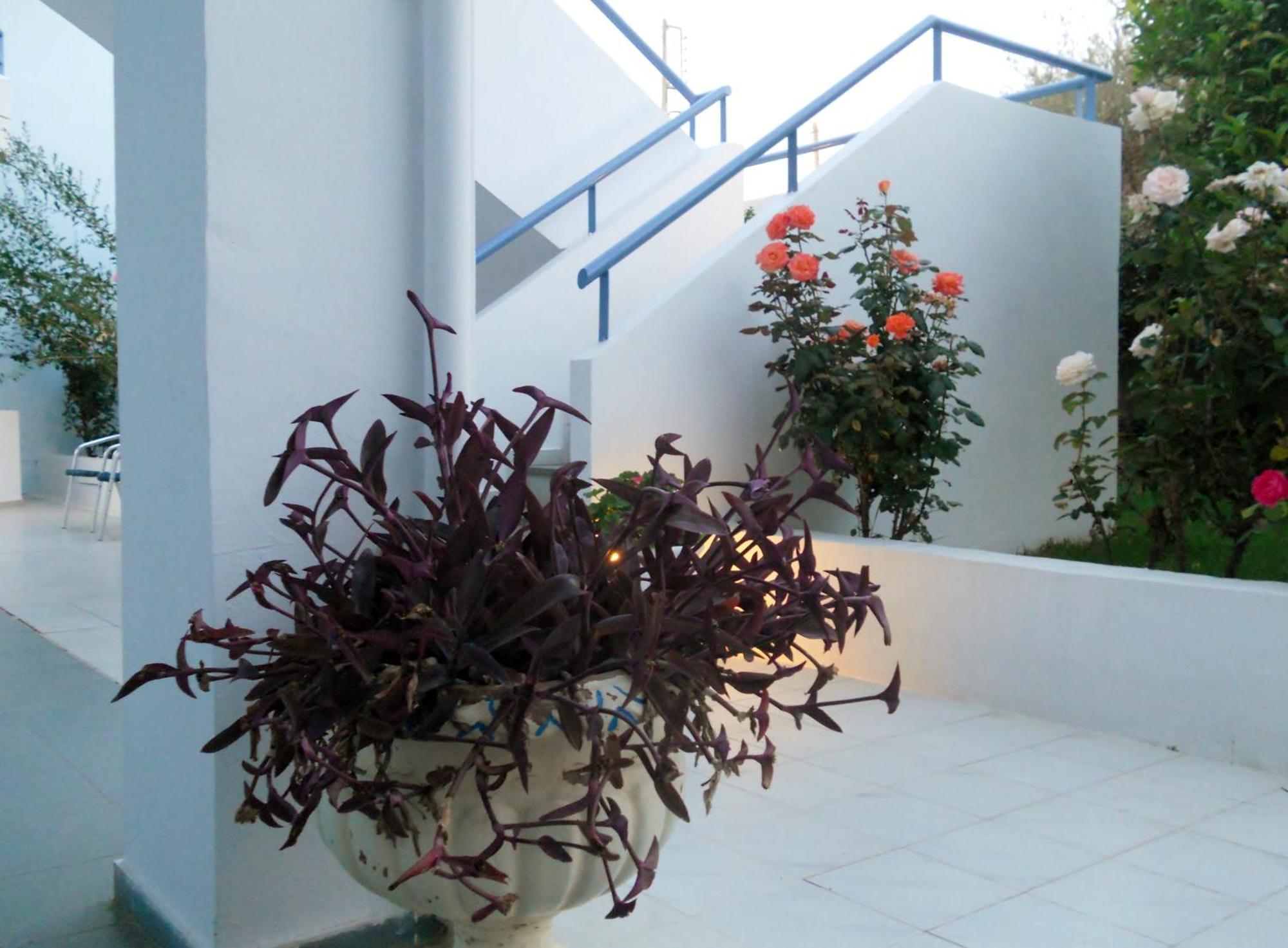 Dimitra Apartment Hotel Скафидия Екстериор снимка