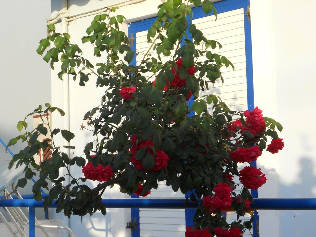 Dimitra Apartment Hotel Скафидия Екстериор снимка