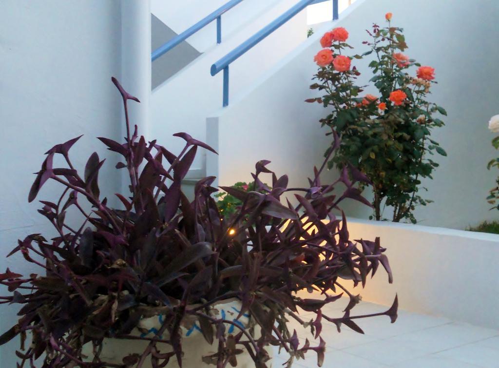 Dimitra Apartment Hotel Скафидия Екстериор снимка